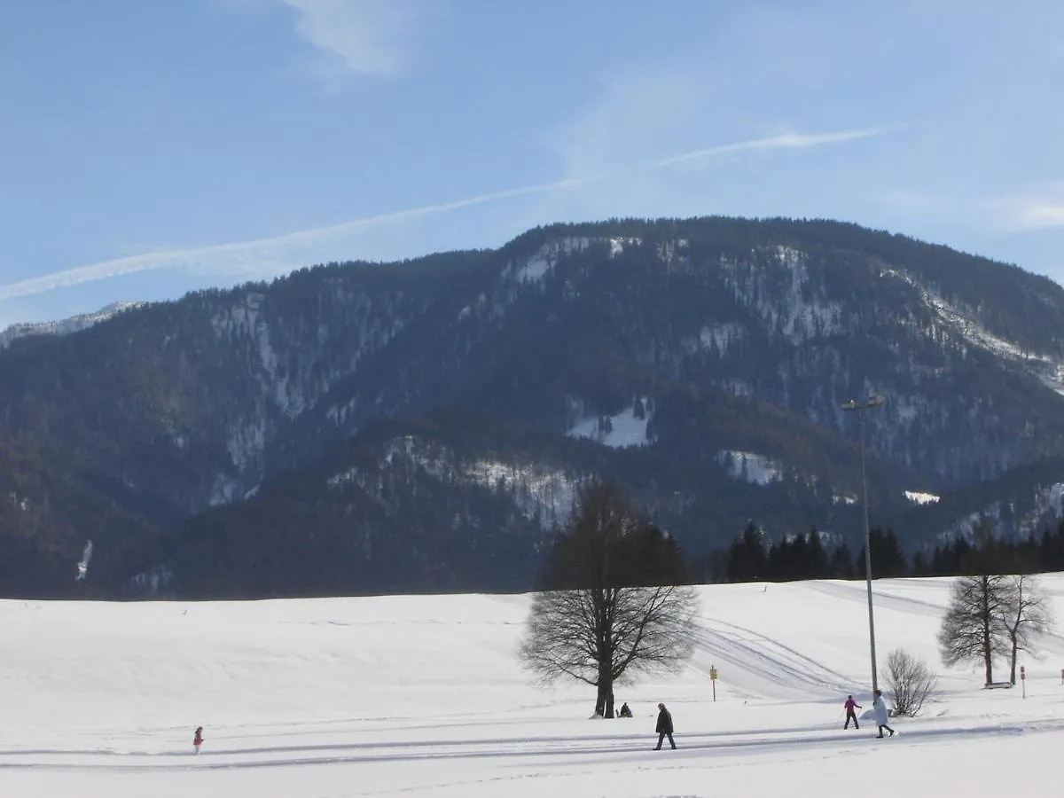 Ferienwohnung Alpen-Chalet-Sol-Alpium Reit im Winkl 0*,  Deutschland