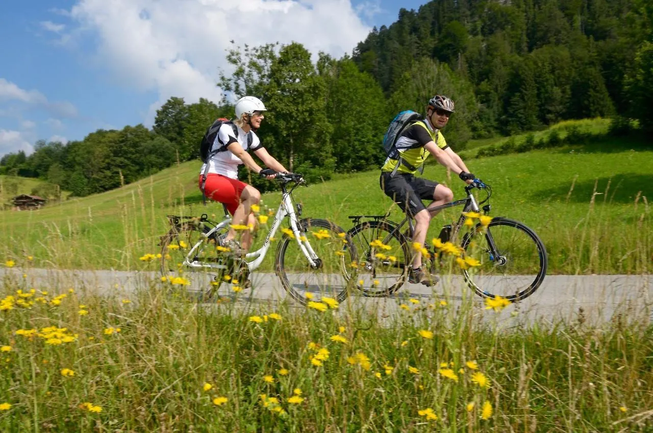 Ferienwohnung Alpen-Chalet-Sol-Alpium Reit im Winkl 0*,